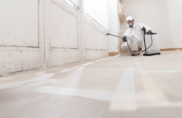 24/7 Emergency Mold Testing experts in Line Lexington, PA