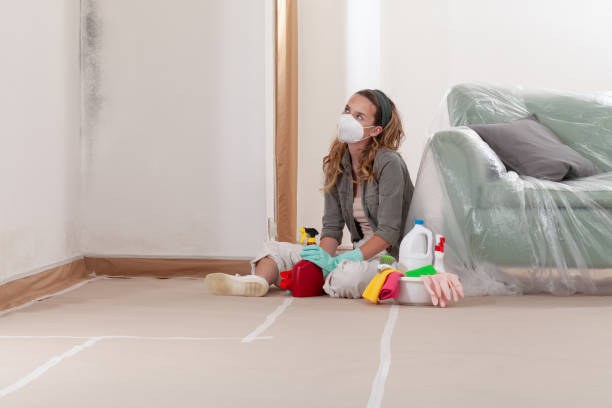 Trusted Mold Testing service in Line Lexington, PA - WQB Mold Removal